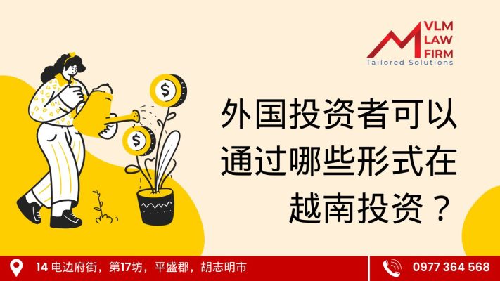 Nha dau tu nuoc ngoai co the dau tu vao Viet Nam bang hinh thuc nao